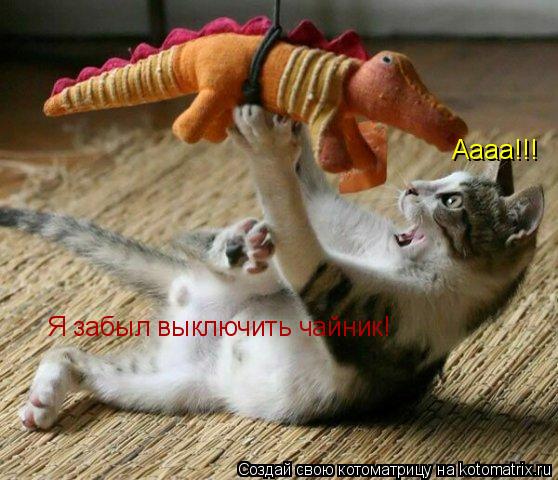 Котоматрица: Аааа!!! Я забыл выключить чайник!