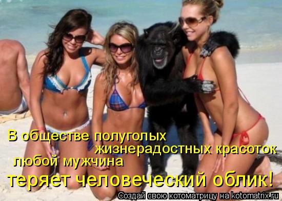 В обществе полуголых жизнерадостных красоток любой мужчина теряет человеческий облик!... Котоматрица: В обществе полуголых жизнерадостных красоток любой мужчина теряет человеческий облик!