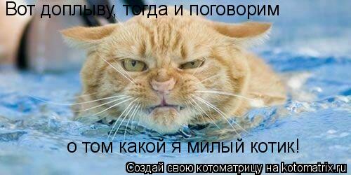 Котоматрица: Вот доплыву, тогда и поговорим   о том какой я милый котик!
