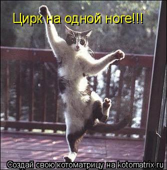 Котоматрица: Цирк на одной ноге!!!