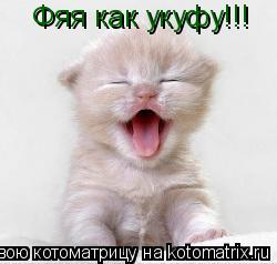 Котоматрица: Фяя как укуфу!!!