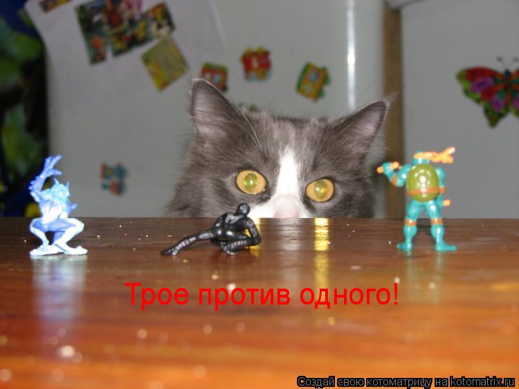 Котоматрица: Трое против одного!