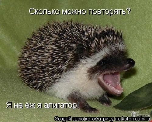 Котоматрица: Я не ёж я алигатор! Сколько можно повторять?