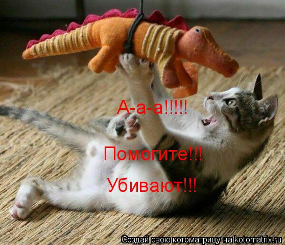 Котоматрица: А-а-а!!!!! Помогите!!! Убивают!!!