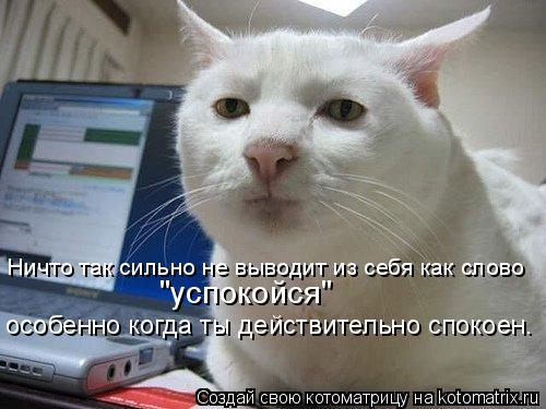 Котоматрица: Ничто так сильно не выводит из себя как слово "успокойся" особенно когда ты действительно спокоен.