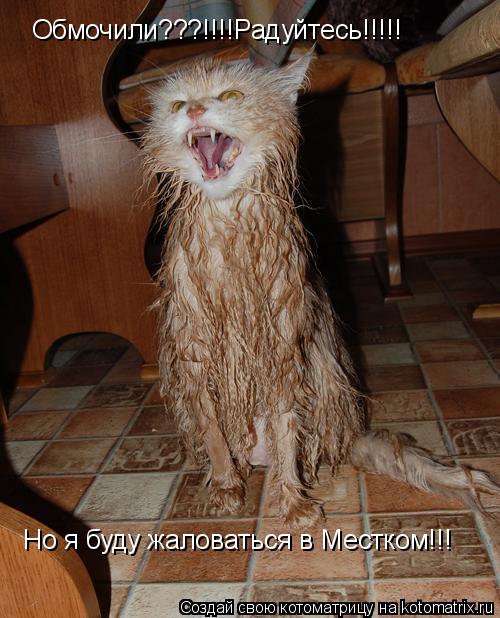 Котоматрица: Обмочили???!!!!Радуйтесь!!!!! Но я буду жаловаться в Местком!!!