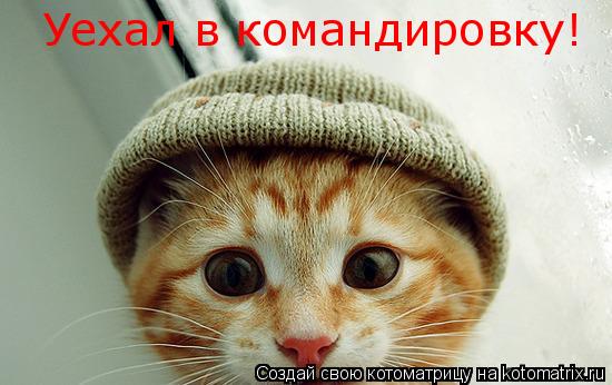 Котоматрица: Уехал в командировку!