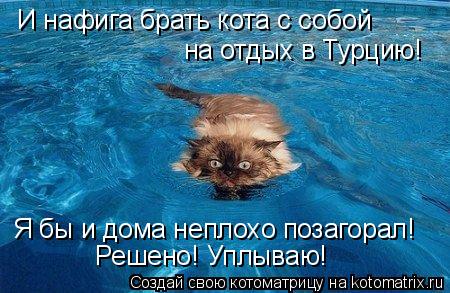 И нафига брать кота с собой на отдых в Турцию! Я бы и дома неплохо позагорал! Решено! Уплываю!... Котоматрица: И нафига брать кота с собой на отдых в Турцию! Я бы и дома неплохо позагорал! Решено! Уплываю!