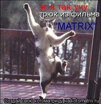 эт я так учу трюк из фильма "MATRIX"... Котоматрица: эт я так учу трюк из фильма "MATRIX"
