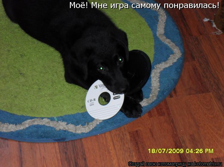 Моё! Мне игра самому понравилась!... Котоматрица: Моё! Мне игра самому понравилась!
