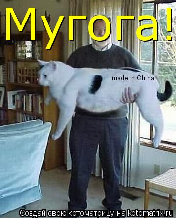 made in China Мугога!... Котоматрица: made in China Мугога!