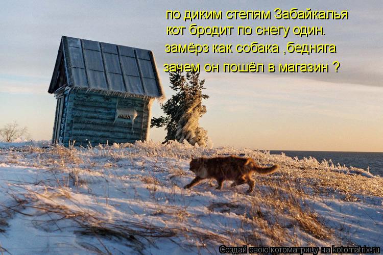 по диким степям Забайкалья кот бродит по снегу один. замёрз как собака ,бедняга зачем он пошёл в мага... Котоматрица: по диким степям Забайкалья кот бродит по снегу один. замёрз как собака ,бедняга зачем он пошёл в магазин ?