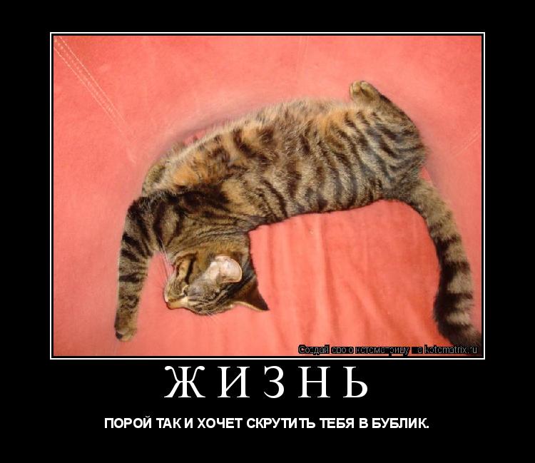 Котоматрица: ЖИЗНЬ ПОРОЙ ТАК И ХОЧЕТ СКРУТИТЬ ТЕБЯ В БУБЛИК.
