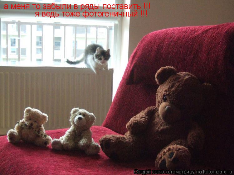 а меня то забыли в ряды поставить !!! я ведь тоже фотогеничный !!!... Котоматрица: а меня то забыли в ряды поставить !!! я ведь тоже фотогеничный !!!