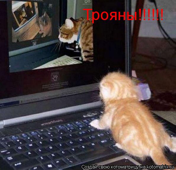 Трояны!!!!!!... Котоматрица: Трояны!!!!!!