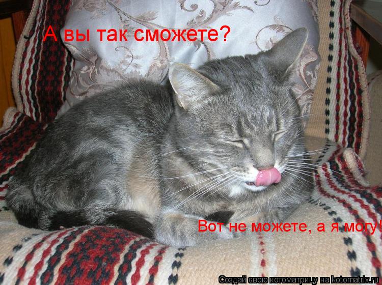 Котоматрица: А вы так сможете? Вот не можете, а я могу!!