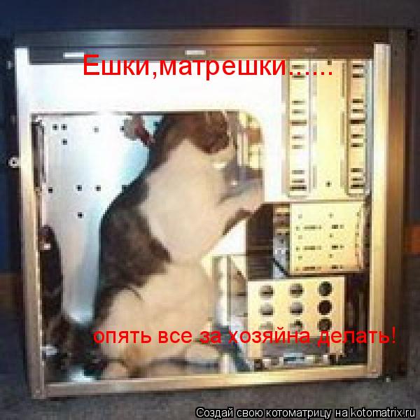 Котоматрица: Ешки,матрешки...... опять все за хозяйна делать!