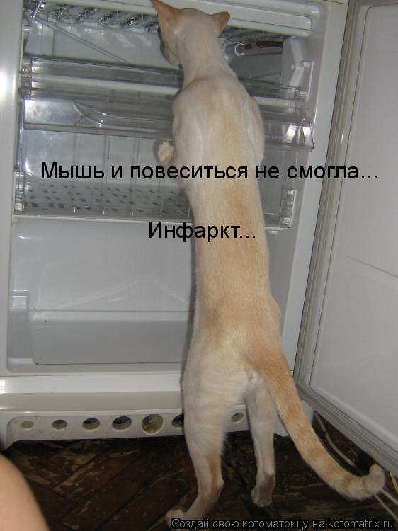Мышь и повеситься не смогла... Инфаркт...... Котоматрица: Мышь и повеситься не смогла... Инфаркт...