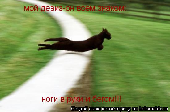 Котоматрица: мой девиз-он всем знаком: ноги в руки и бегом!!!