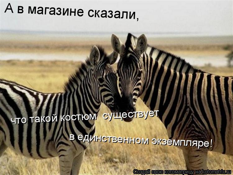 Котоматрица: А в магазине сказали,  что такой костюм  существует  в единственном экземпляре!