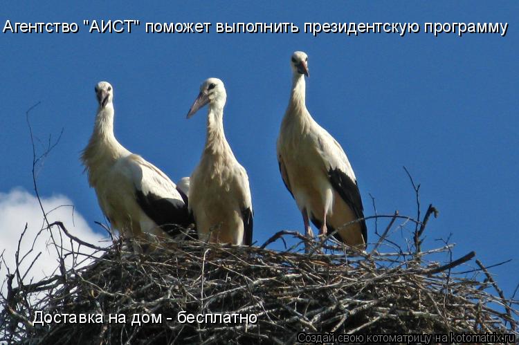 Котоматрица: Агентство "АИСТ" поможет выполнить президентскую программу Доставка на дом - бесплатно