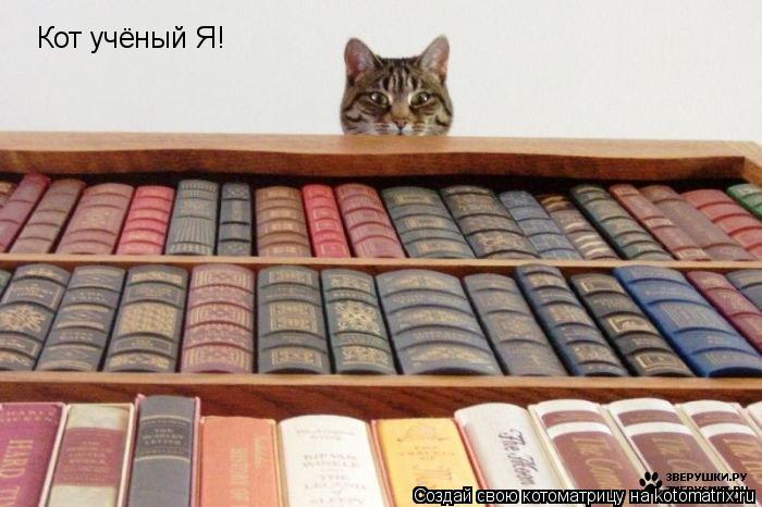 Котоматрица: Кот учёный Я!