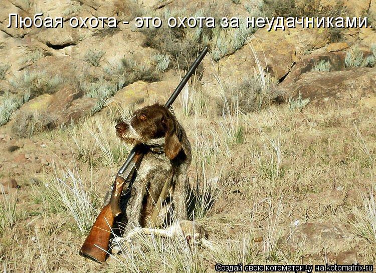Любая охота - это охота за неудачниками.... Котоматрица: Любая охота - это охота за неудачниками.