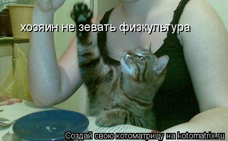 Котоматрица: хозяин не зевать физкультура