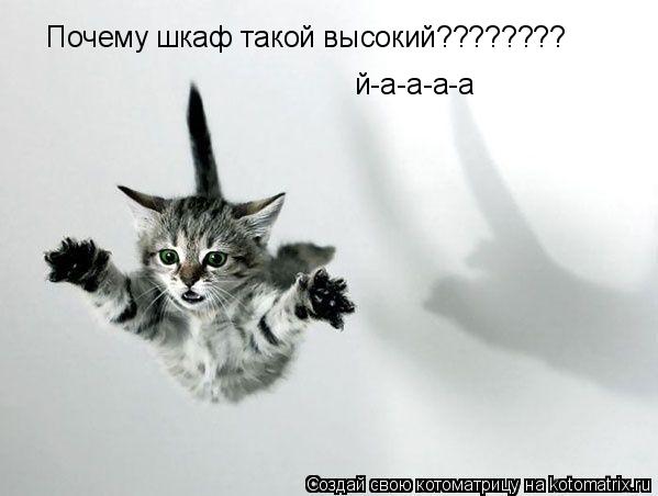 Котоматрица: Почему шкаф такой высокий???????? й-а-а-а-а