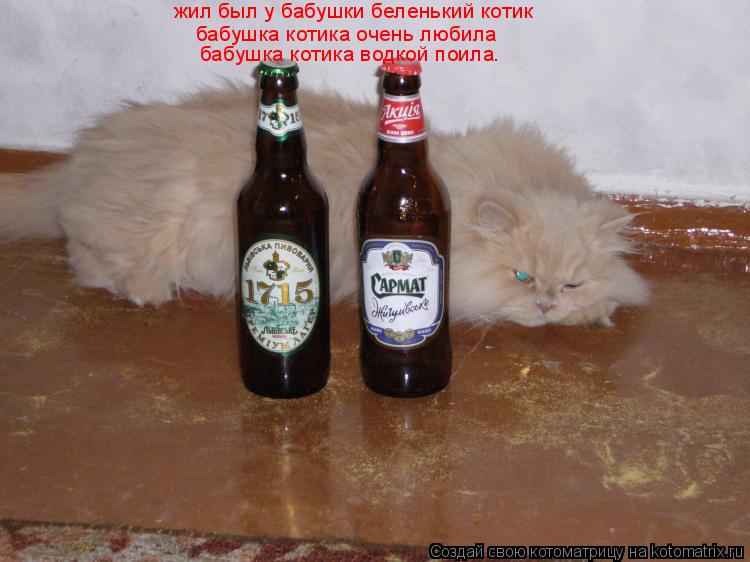 Котоматрица: жил был у бабушки беленький котик бабушка котика очень любила бабушка котика водкой поила жил был у бабушки беленький котик  бабушка котик