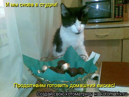 Котоматрица: И мы снова в студии! Продолжаем готовить домашний вискас!