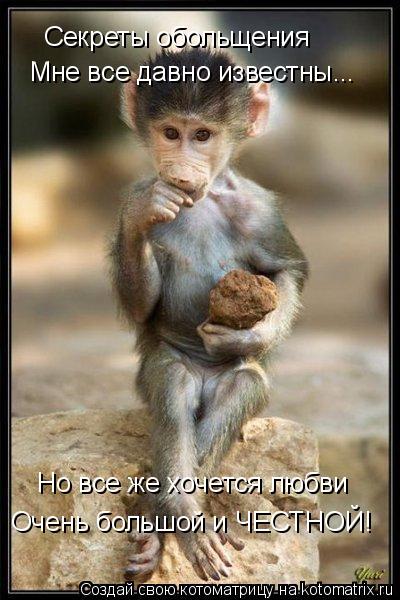 Котоматрица: Но все же хочется любви Очень большой и ЧЕСТНОЙ! Мне все давно известны... Секреты обольщения