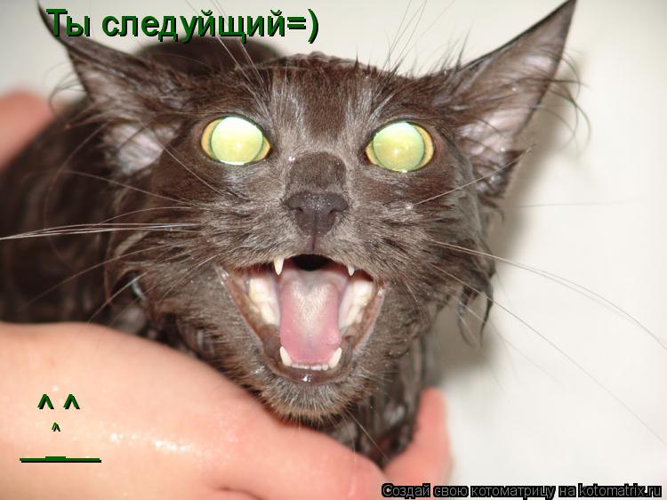 Котоматрица: Ты следуйщий=) ^ ^ ^ _ ____
