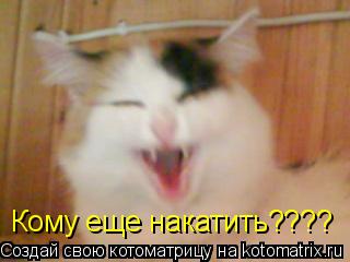 Котоматрица: Кому еще накатить????