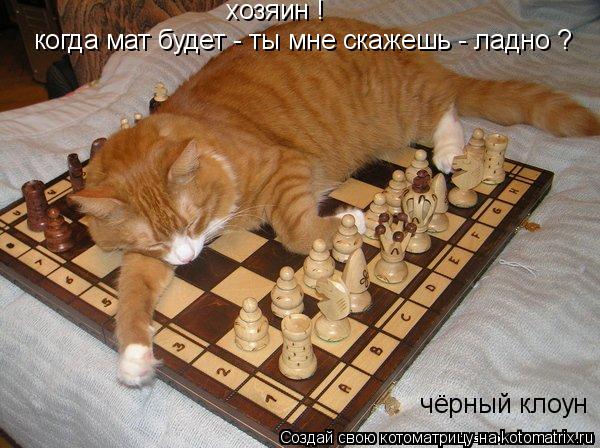 Котоматрица: хозяин !  когда мат будет - ты мне скажешь - ладно ?  чёрный клоун