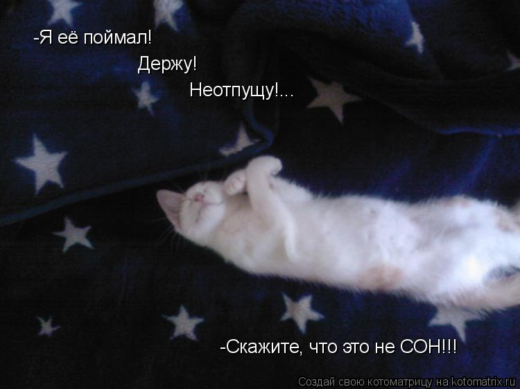 Котоматрица: -Я её поймал!  Держу!                       Неотпущу!...                          -Скажите, что это не СОН!!!