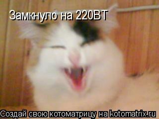 Котоматрица: Замкнуло на 220ВТ