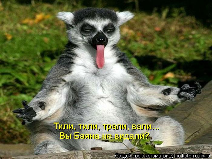 Тили, тили, трали, вали... Вы Баяна не видали?... Котоматрица: Тили, тили, трали, вали... Вы Баяна не видали?