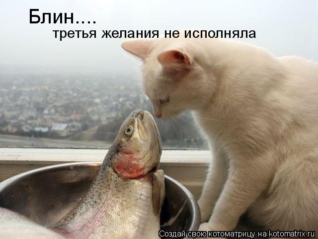 Котоматрица: Блин.... третья желания не исполняла