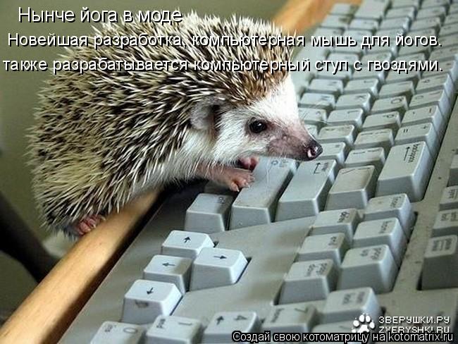 Котоматрица: Нынче йога в моде Новейшая разработка, компьютерная мышь для йогов. также разрабатывается компьютерный стул с гвоздями.