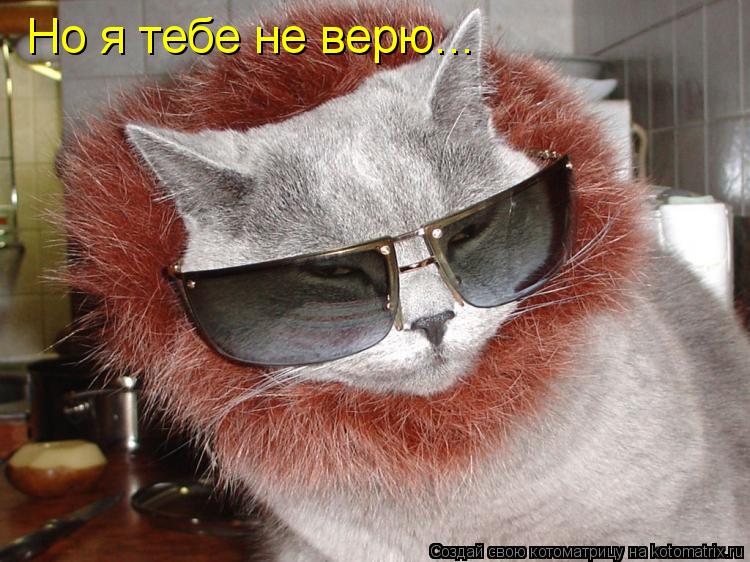 Котоматрица: Но я тебе не верю...