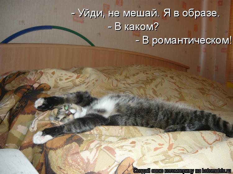 - Уйди, не мешай. Я в образе. - В каком? - В романтическом!... Котоматрица: - Уйди, не мешай. Я в образе. - В каком? - В романтическом!