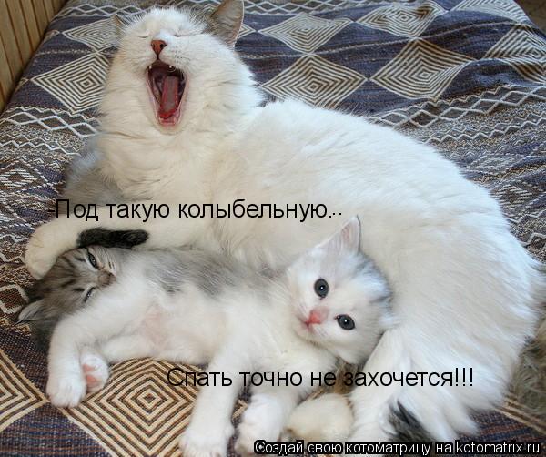 Котоматрица: -Под такую колыбельную… Спать точно не захочется!!! ..