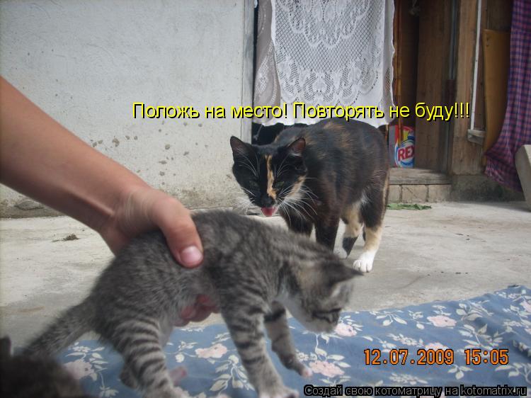 Котоматрица: Положь на место! Повторять не буду!!!