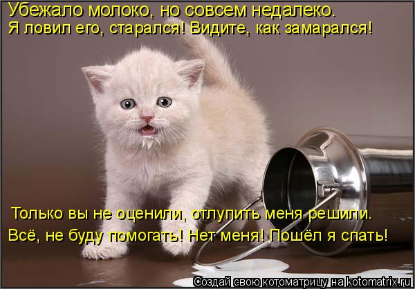 Котоматрица: Убежало молоко, но совсем недалеко. Я ловил его, старался! Видите, как замарался! Только вы не оценили, отлупить меня решили. Всё, не буду помо