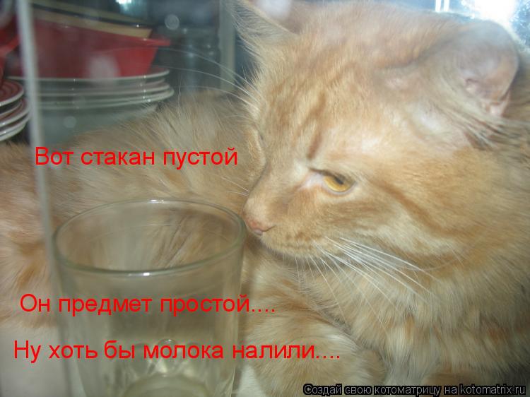 Котоматрица: Вот стакан пустой Он предмет простой.... Ну хоть бы молока налили....