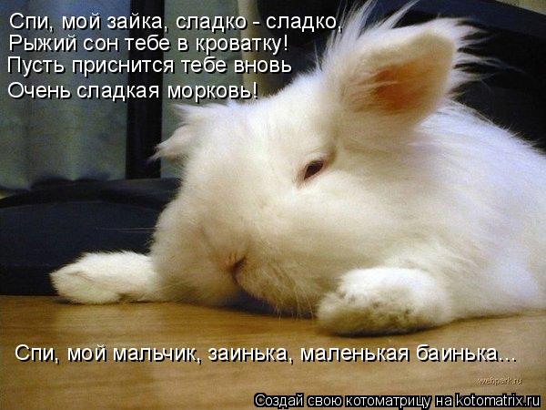 Котоматрица: Спи, мой мальчик, заинька, маленькая баинька... Спи, мой зайка, сладко - сладко, Рыжий сон тебе в кроватку! Пусть приснится тебе вновь Очень сла