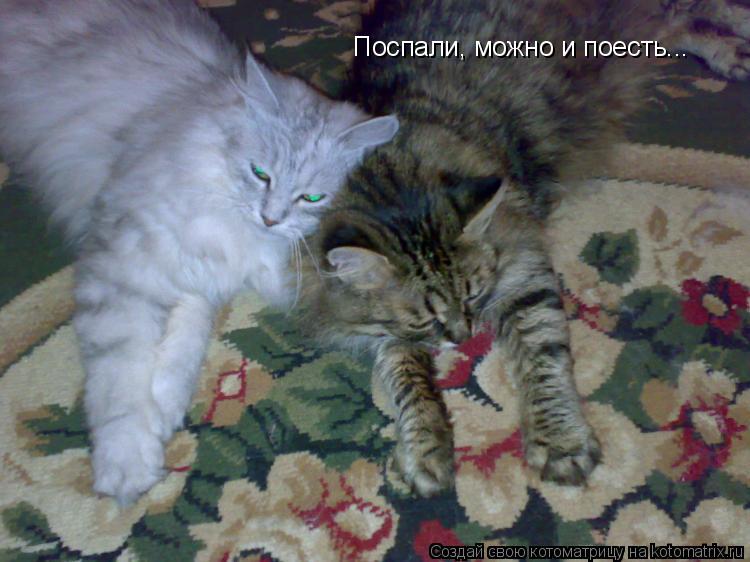 Котоматрица: Поспали, можно и поесть...