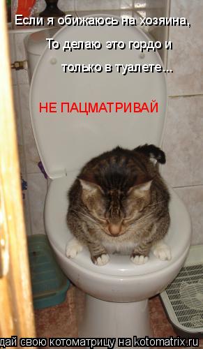 Котоматрица: Если я обижаюсь на хозяина, То делаю это гордо и  только в туалете... НЕ ПАЦМАТРИВАЙ