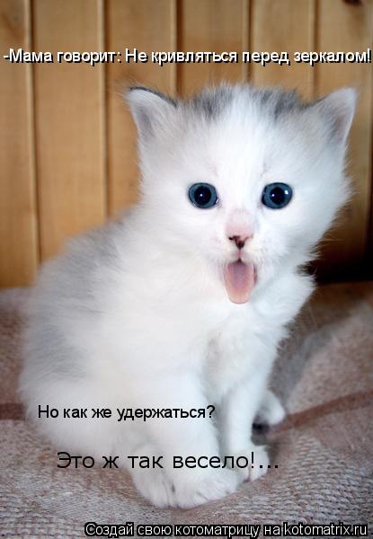 Котоматрица: -Мама говорит: Не кривляться перед зеркалом! Но как же удержаться?  Это ж так весело!...